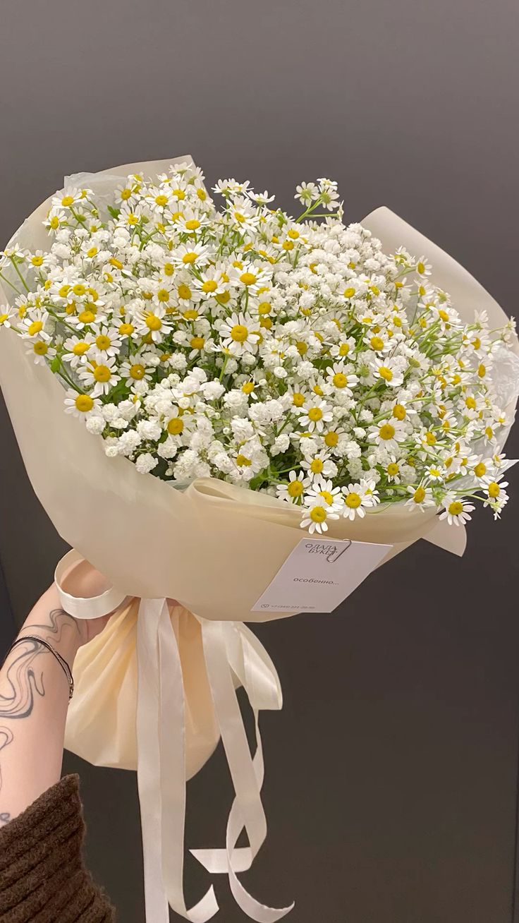 Bó hoa cúc họa mi